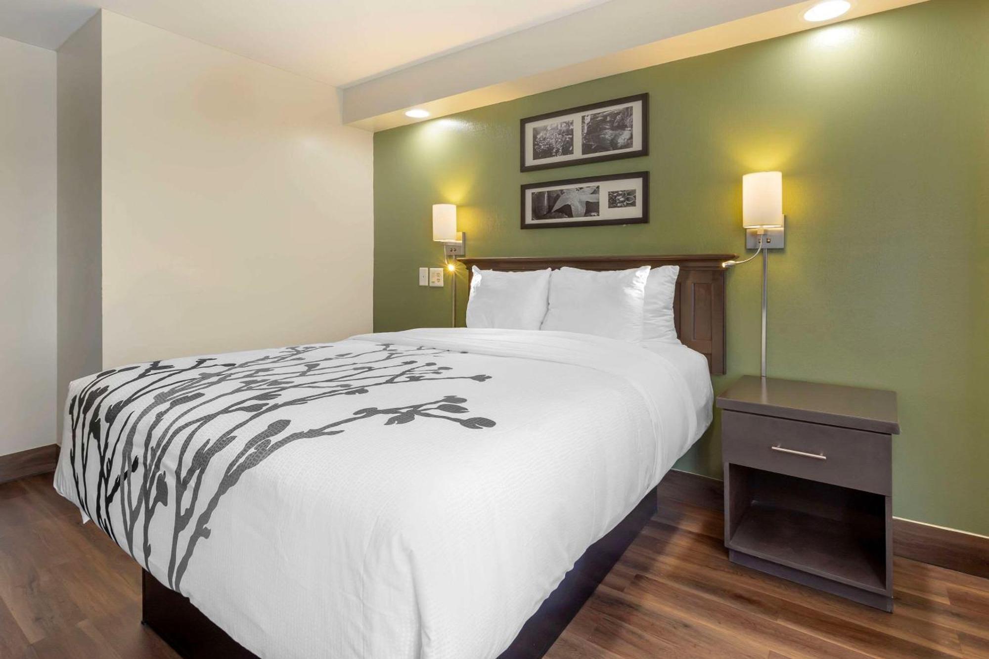 Sleep Inn Sumter Zewnętrze zdjęcie